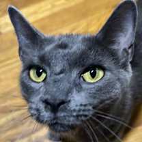 Thumbnail photo of Sylvia #2