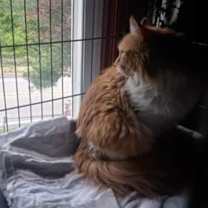 Thumbnail photo of Raquell #2