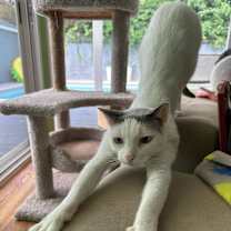 Thumbnail photo of Bo #3