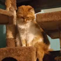 Thumbnail photo of Raquell #3