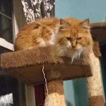 Thumbnail photo of Raquell #4