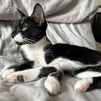 Thumbnail photo of Naya #2