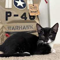 Thumbnail photo of Naya #4