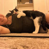 Thumbnail photo of Bruno #3