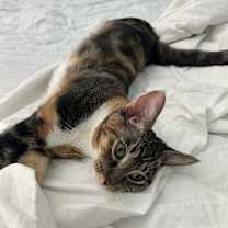 Thumbnail photo of Corinna #3