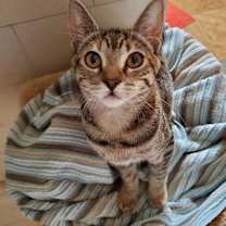 Thumbnail photo of Maze #2