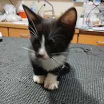 Thumbnail photo of Samantha #2