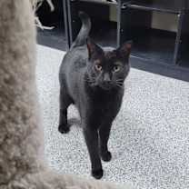 Thumbnail photo of Travis #1