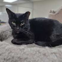 Thumbnail photo of Hayzel #1