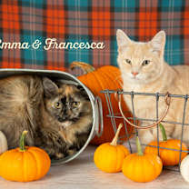 Thumbnail photo of Francesca #1