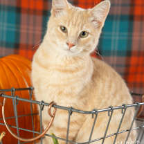 Thumbnail photo of Francesca #2