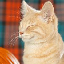 Thumbnail photo of Francesca #3