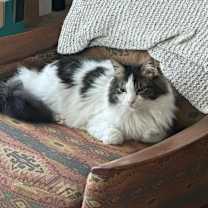 Thumbnail photo of Watson #2