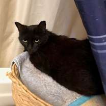 Thumbnail photo of Sugar #2