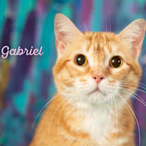 Thumbnail photo of Gabriel #1