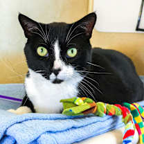 Thumbnail photo of Rusty #2