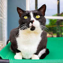 Thumbnail photo of Rusty #3