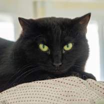 Thumbnail photo of Erika #2