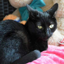 Thumbnail photo of Erika #3