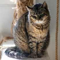 Thumbnail photo of Bobbi #3