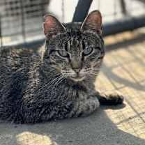 Thumbnail photo of Wendy #1