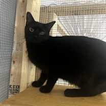 Thumbnail photo of Winnie #1