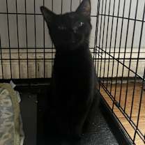 Thumbnail photo of Winnie #3