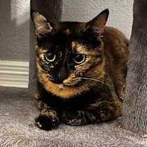 Thumbnail photo of Leona (mom) #1