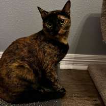Thumbnail photo of Leona (mom) #2