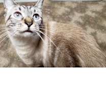 Thumbnail photo of Misty #3