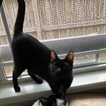 Thumbnail photo of Windy #3