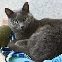Thumbnail photo of Samantha #1