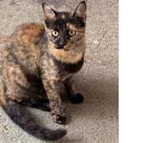 Thumbnail photo of Leona (mom) #3