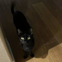 Thumbnail photo of Windy #4