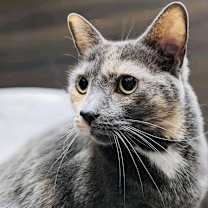 Thumbnail photo of Kelly #1