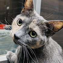 Thumbnail photo of Kelly #2