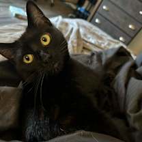 Thumbnail photo of Wednesday #2