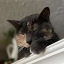 Thumbnail photo of Kelly #3