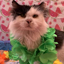 Thumbnail photo of Bryce #2