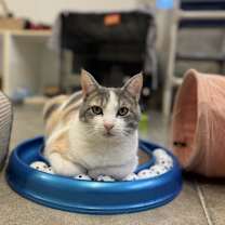 Thumbnail photo of Helen #1