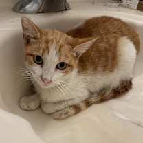 Thumbnail photo of Juice Box #2