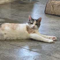 Thumbnail photo of Helen #2