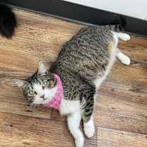 Thumbnail photo of Katie #1