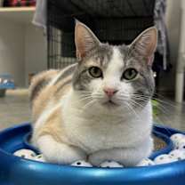 Thumbnail photo of Helen #3