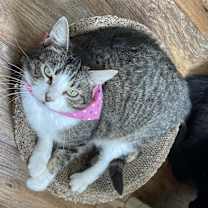 Thumbnail photo of Katie #2