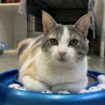 Thumbnail photo of Helen #4