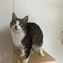 Thumbnail photo of Katie #4