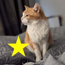 Thumbnail photo of Amelia #1