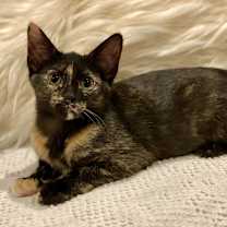 Thumbnail photo of Louisa #2