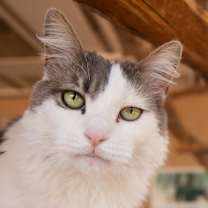 Thumbnail photo of Nora #1